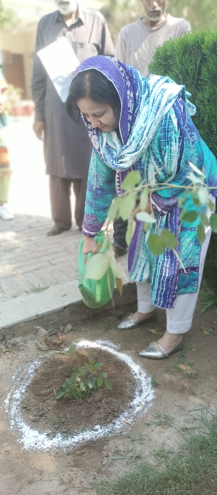 tree Plantation Compaign 